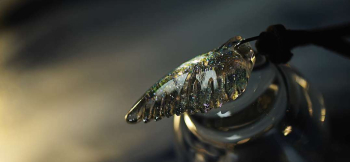 飛翔 ～ 虹の銀世界 ～ 表面にデザイン彫刻を施しています。 ラフォルム ガラスジュエリー ガラスアクセサリー