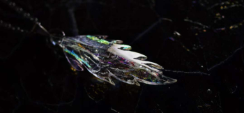 ラフォルム ガラスジュエリー ガラスアクセサリー Pure dream wing クリアー全体に煌きのあるダイクロガラスを散りばめた存在感のあるオリジナルペンダント。一見するとフェザー(羽)タイプですが、少し視点を変えると美しい五面体のフォルムがベ…