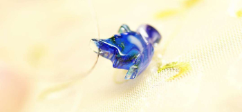 Air current butterfly ブルー系の爽やかな色合い。 ラフォルム ガラスジュエリー ガラスアクセサリー