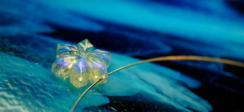 爽空の花 クリアーベースに美しいダイクロガラスを施しました。 ラフォルム ガラスジュエリー ガラスアクセサリー