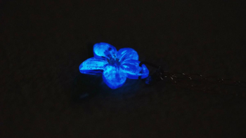 忘れな草をあなたに 暗闇で光る蓄光加工で神秘的に輝きます。 ラフォルム ガラスジュエリー ガラスアクセサリー