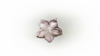 瑠璃の一輪桜・春風010(ラメ/蓄光)★ペンダント、ピアス・イヤリング、リングなどに仕立ててお届けします♪ 優しく淡い桜色。エルビウムピンクの一輪。 ラフォルム ガラスジュエリー ガラスアクセサリー