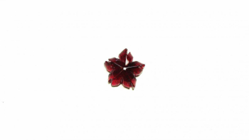 ラフォルム ガラスジュエリー ガラスアクセサリー 瑠璃の一輪桜・夜桜010(単色仕様)★ペンダント、ピアス・イヤリング、リングなどに仕立ててお届けします♪ 深いワインレッドに染まった一輪は、静かで落ち着いた大人の品格をまとった佇まい。単色でありなが…