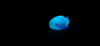 Natural snow stone 暗闇では神秘的な光を放ちます。 ラフォルム ガラスジュエリー ガラスアクセサリー