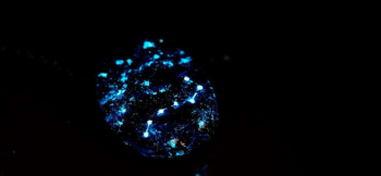 あの日の夜空 ～ Under the sparkling star ～ 煌く星々。星座「北斗七星」の蓄光加工。 ラフォルム ガラスジュエリー ガラスアクセサリー