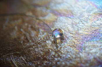 Dichroic drop ~ 美しい煌きのひとしずく ~ 内部には美しいダイクロガラスの煌き。 ラフォルム ガラスジュエリー ガラスアクセサリー