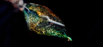 ラフォルム ガラスジュエリー ガラスアクセサリー Holographic galaxy 見る角度や光の当たり方で、無限の表情に変化する美しい煌きを閉じ込めたアイスロックメモリアルペンダントです。ダイクロガラスの煌きをよりお楽しみいただけるようにお作…