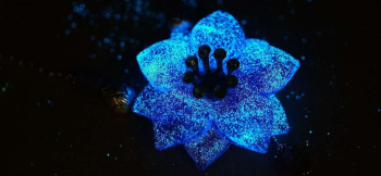 Antique mystic flower 光を吸収する度に神秘的な青い光を放ちます。 ラフォルム ガラスジュエリー ガラスアクセサリー