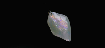 ラフォルム ガラスジュエリー ガラスアクセサリー A fascinating piece of glass 『A fascinating piece of glass』は、ガラスの透明感と光の表情を生かした手仕事で仕立てたガラスジュエリーです。
…