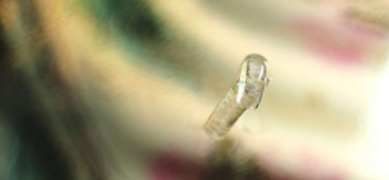 ラフォルム ガラスジュエリー ガラスアクセサリー 宇宙に瞬く流れ星 トップがクロスしたタイプのリングです。クリアベースで、内部には光を吸収する度に神秘的に光る蓄光加工を施しています。末永く昼夜お楽しみいただける素敵なデザインリングです。宝物のひとつ…