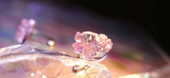 ラフォルム ガラスジュエリー ガラスアクセサリー ほほえみ桜 可憐な2輪の桜の花をあしらったカフス左右セットです。男性・女性どちらでもお使いいただけそうです。ガラスの中でも高級素材である淡く美しいエルビュウムピンクとライトピンクの二色を使用してお作…