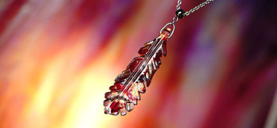 AMERICAN FLAME FEATHER