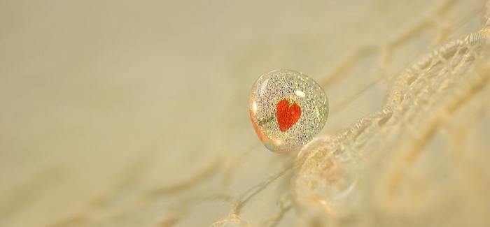 ラフォルム ガラスジュエリー ガラスアクセサリー Charming heart 可愛らしく優しいフォルムの片耳用ピアスです。クリアーをベースにガラスの王様と呼ばれるダイクロ偏光ガラスを施し、優しいレッドのハートを施しました。このハートはガラス内部に…