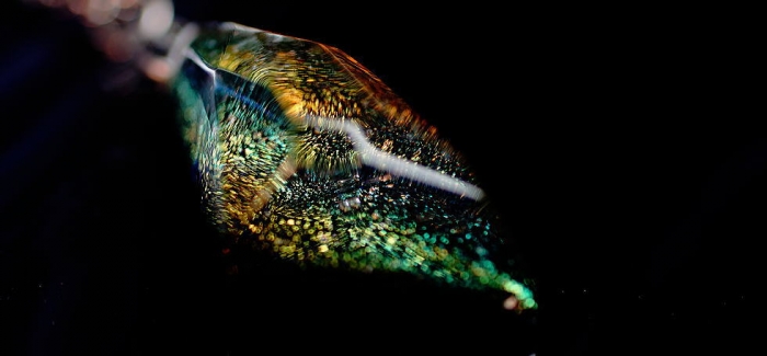 ラフォルム ガラスジュエリー ガラスアクセサリー Holographic galaxy 見る角度や光の当たり方で、無限の表情に変化する美しい煌きを閉じ込めたアイスロックメモリアルペンダントです。ダイクロ偏光ガラスの煌きをよりお楽しみいただけるように…