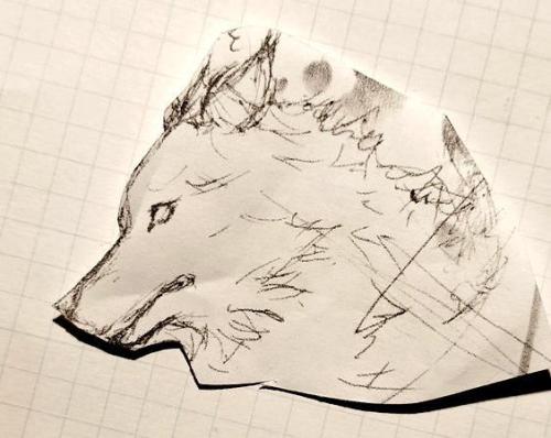 狼の横顔を描いたラフスケッチ