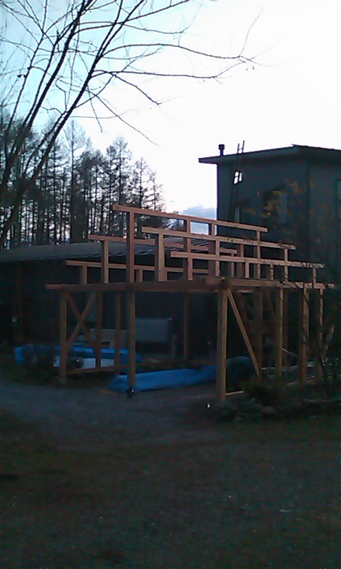 木組みが立ち上がり、建物の広がりが見えてきた頃。