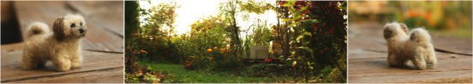 フェルトのモコと、モコのお墓