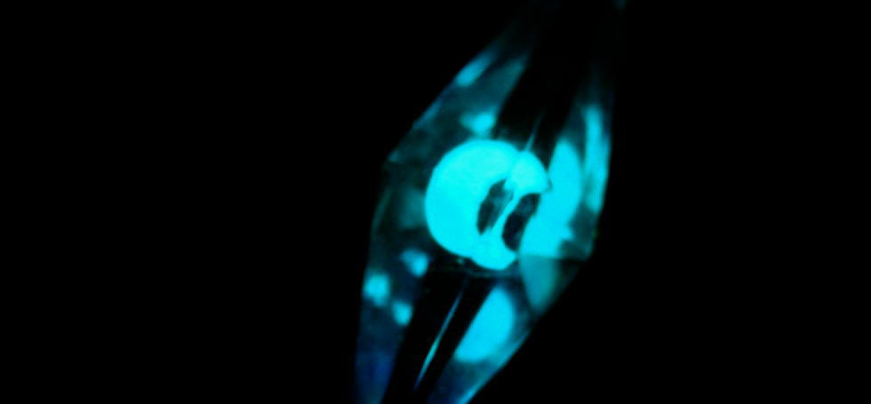 Dreamblue ～ 月の揺らぎ ～ ラフォルム ガラスジュエリー ガラスアクセサリー