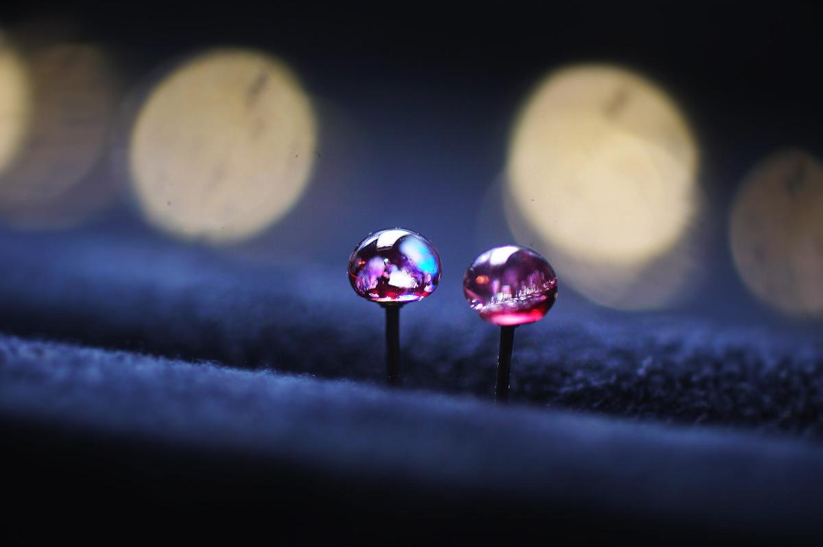 バラのつぼみ MINI