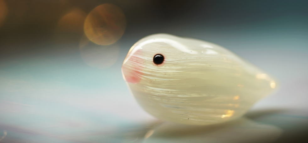やさしいさえずり