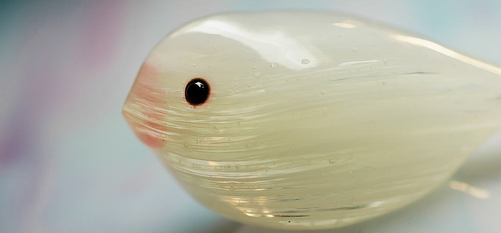 やさしいさえずり ラフォルム ガラスジュエリー ガラスアクセサリー