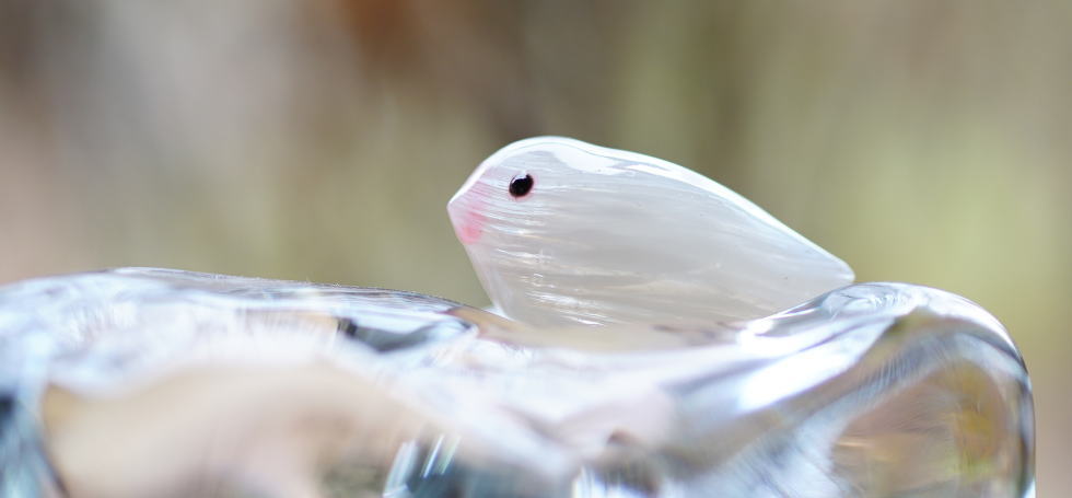 やさしいさえずり ラフォルム ガラスジュエリー ガラスアクセサリー