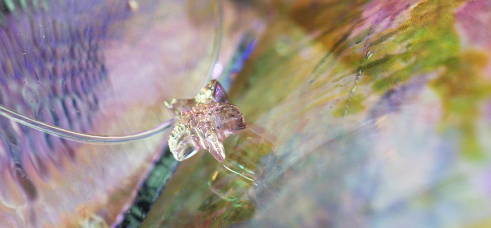 Dichroic petit star