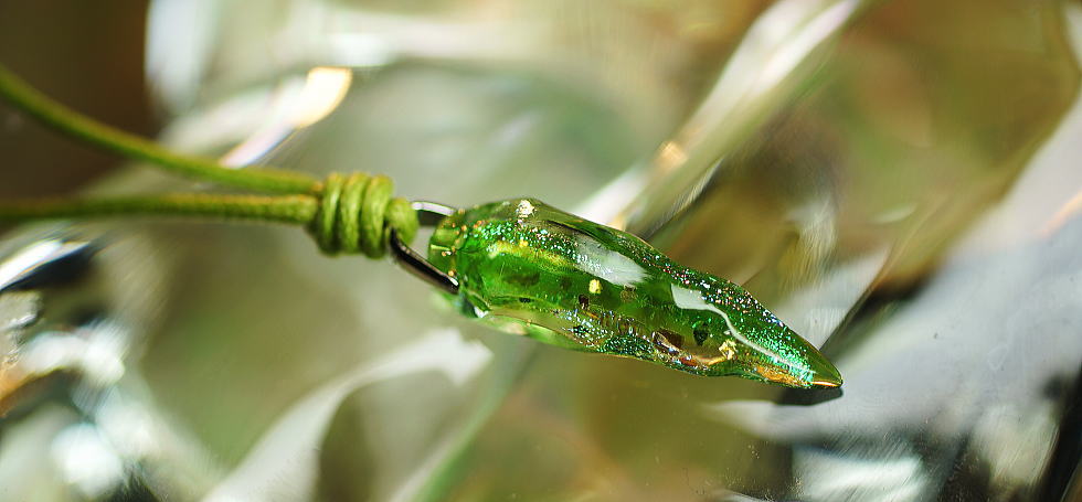 Germination fang