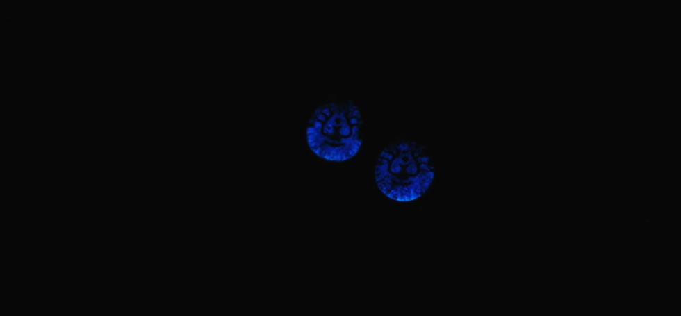 天空からの贈り物 ～ 風に吹かれて  ～ ラフォルム ガラスジュエリー ガラスアクセサリー
