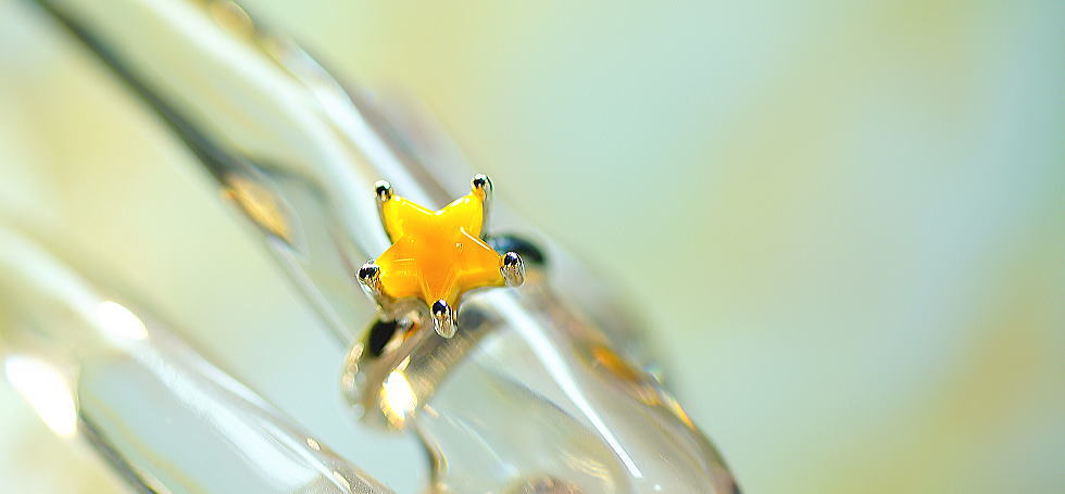 思い出のFirst star