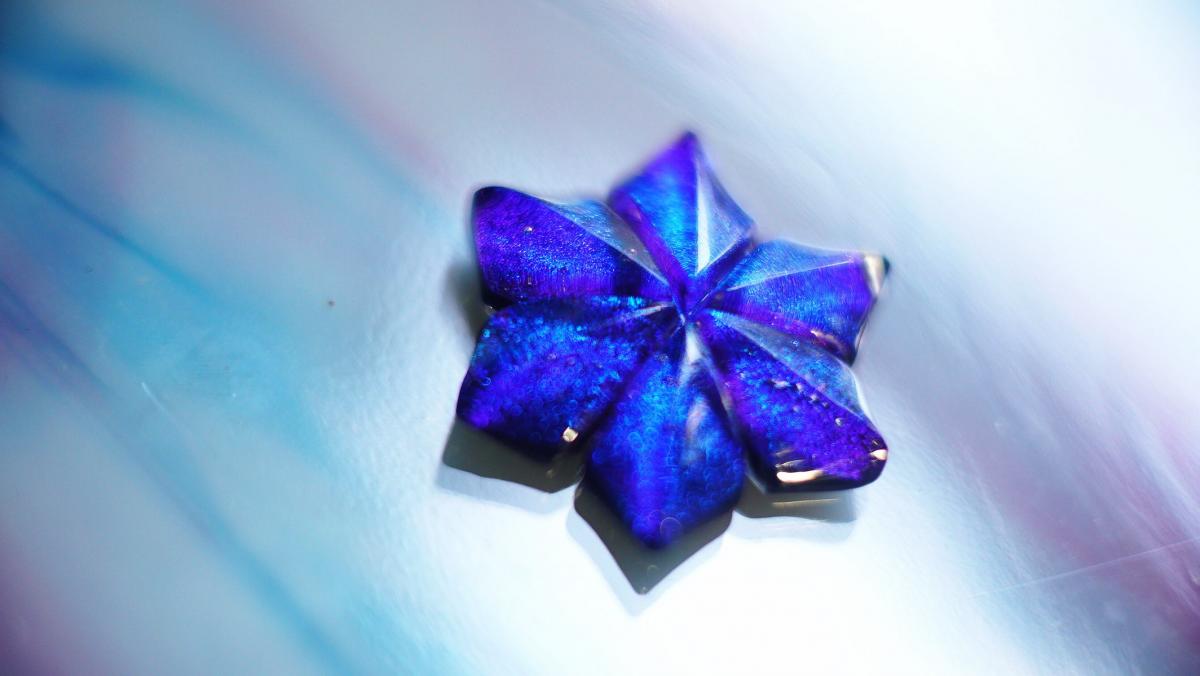 静寂の紫花 ～ Future of Aurora  ～