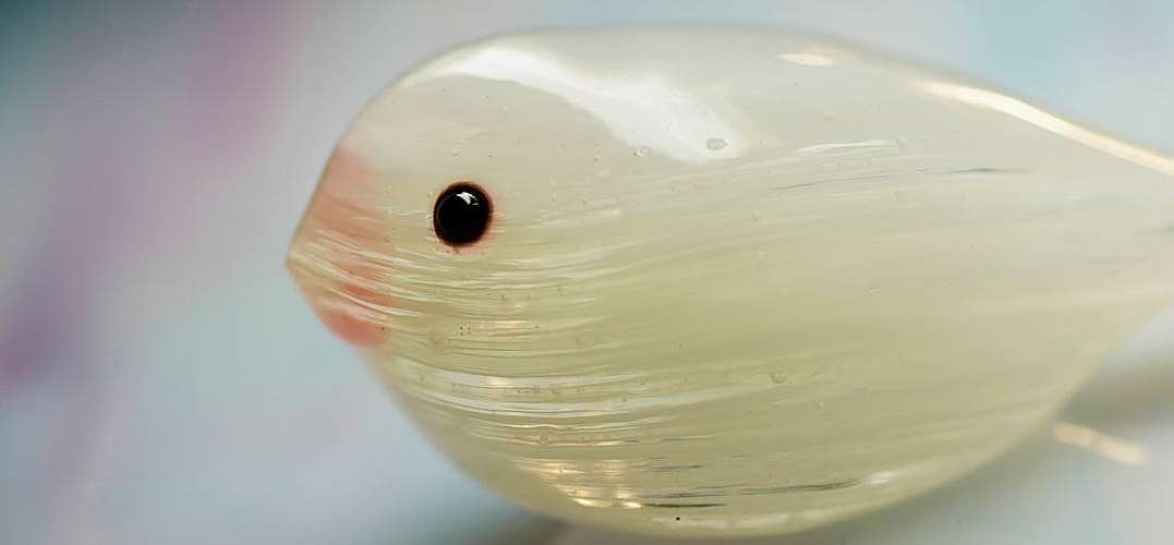 やさしいさえずり ラフォルム ガラスジュエリー ガラスアクセサリー