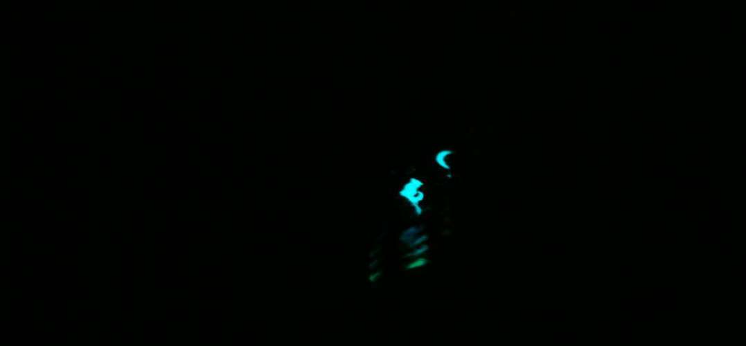 Moon of luck ～ Aquamarine ～ ラフォルム ガラスジュエリー ガラスアクセサリー