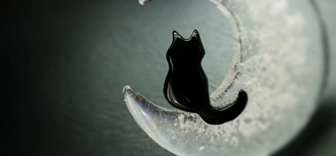 夢銀河の黒猫 ～ ネックレス ～ ラフォルム ガラスジュエリー ガラスアクセサリー