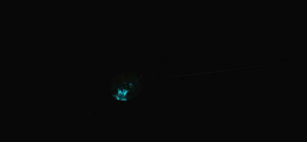 Small macrocosm ラフォルム ガラスジュエリー ガラスアクセサリー