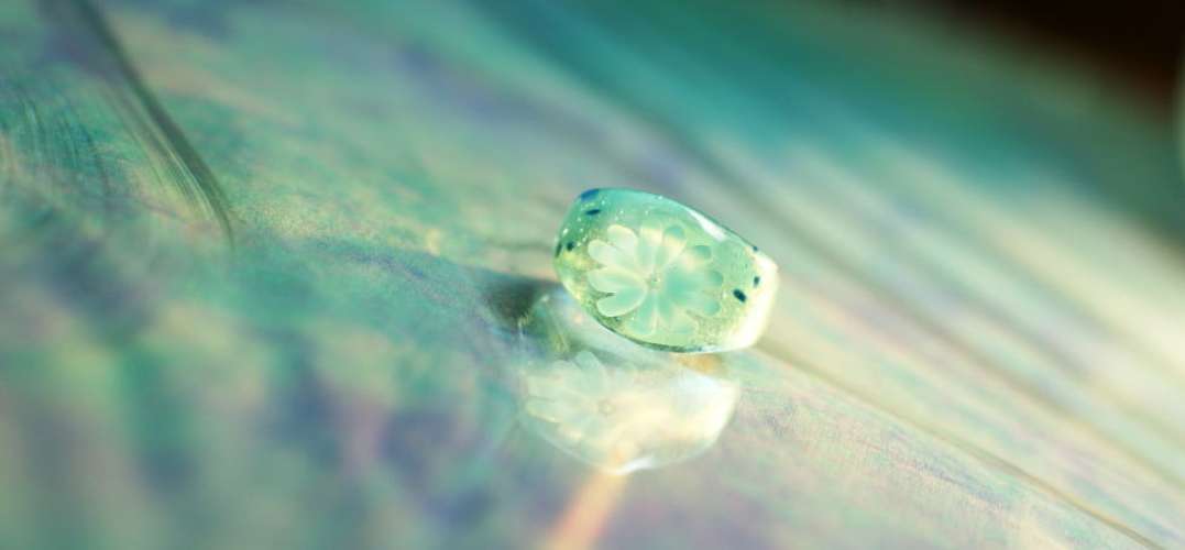優しさの水中花